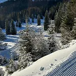 Chalet-style Sonnleitn Nassfeld