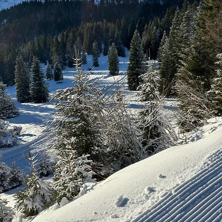 Chalet-style Sonnleitn Nassfeld